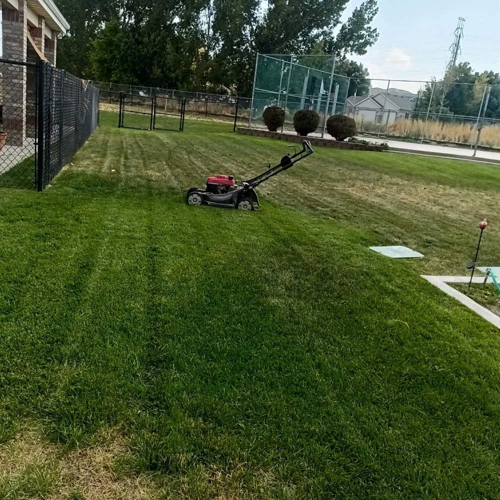 Trusted yard cleanup service for beautiful yards in Salt Lake City, UT by Christopher Landscape