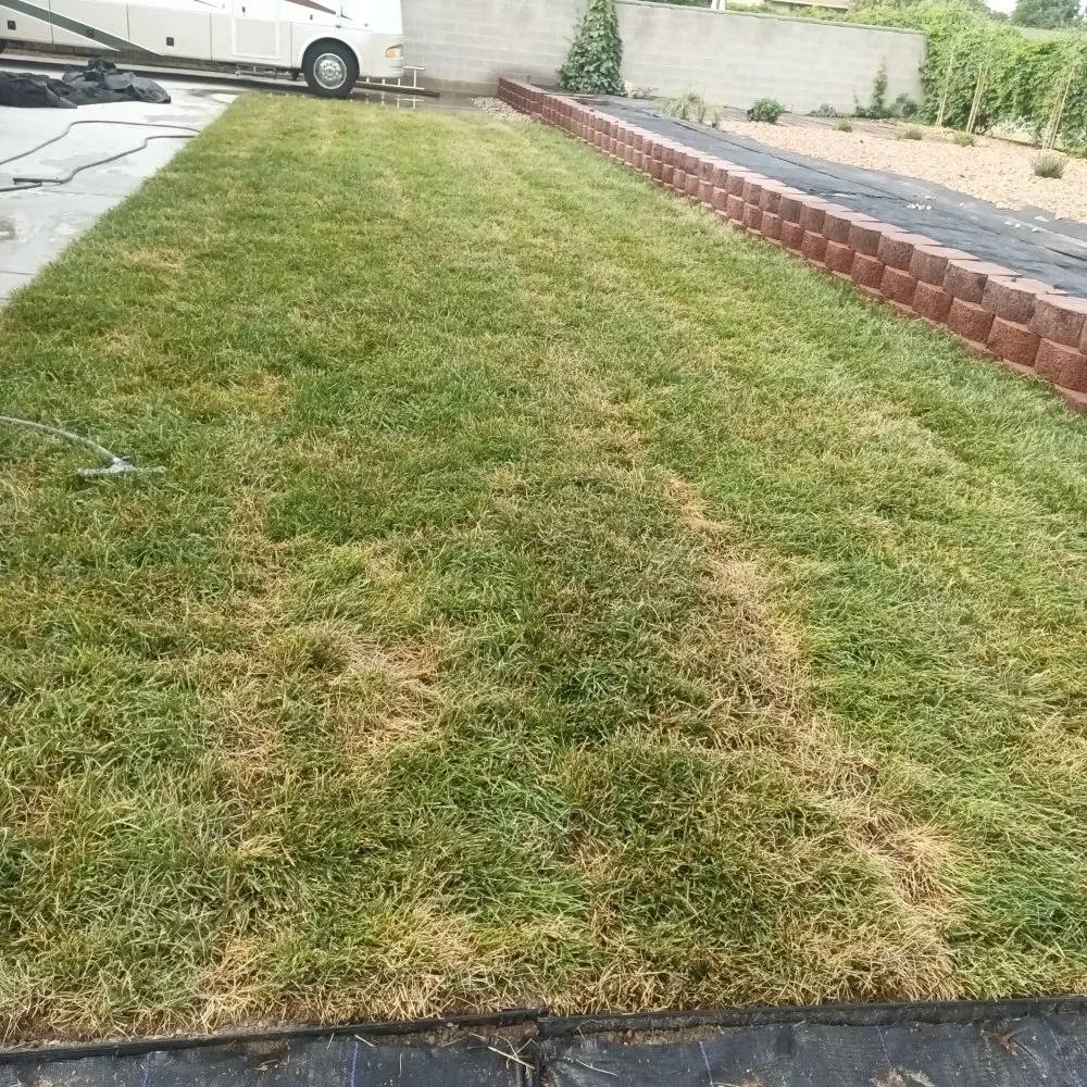 Expert landscape installation in Salt Lake City, UT by Christopher Landscape