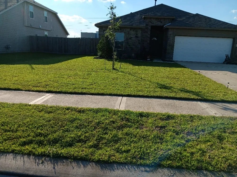 Professional garden landscaping in Katy, TX - Christopher Lawn Service
