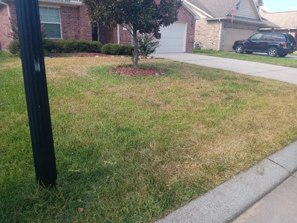 Professional yard maintenance experts serving Katy, TX - Christopher Lawn Service