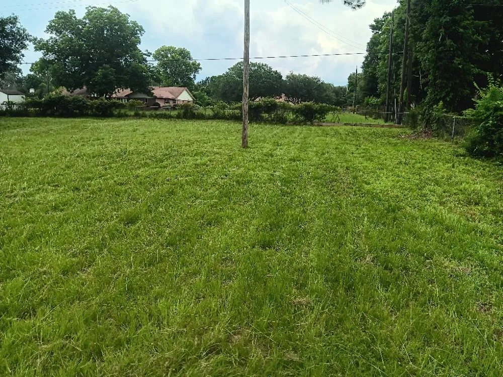 Local garden landscaping for residential properties in Katy, TX by Christopher Lawn Service