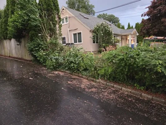 Christopher Meredith Landscaping