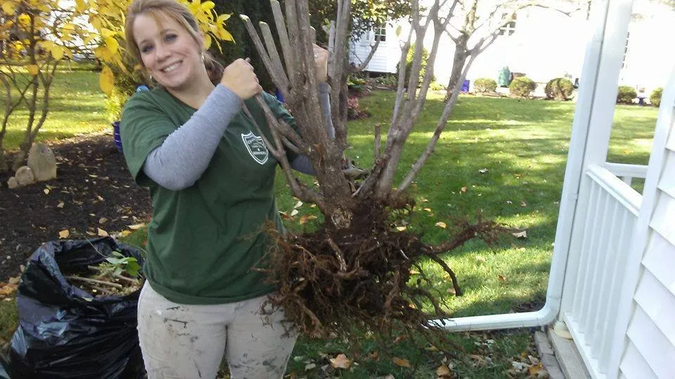 Expert lawn care service in Newark, OH by Christopher's Affordable Lawncare & Services