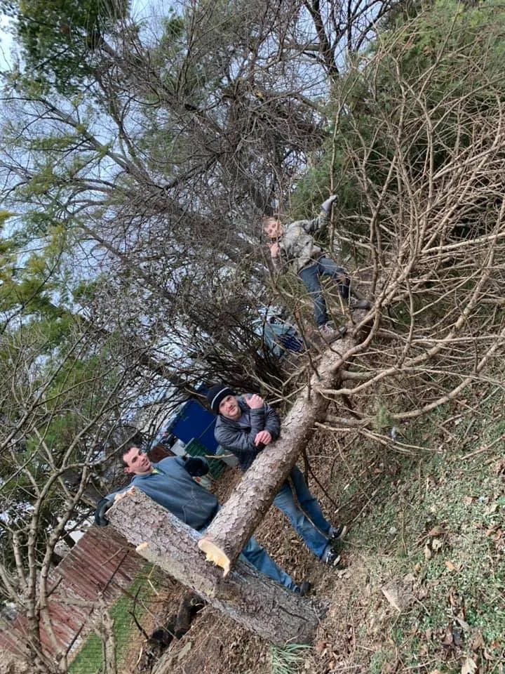 Expert yard maintenance in Newark, OH by Christopher's Affordable Lawncare & Services