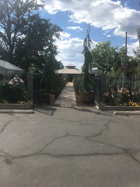 Professional residential landscaping with custom design in Lakeside, AZ by Christopher's Gardens