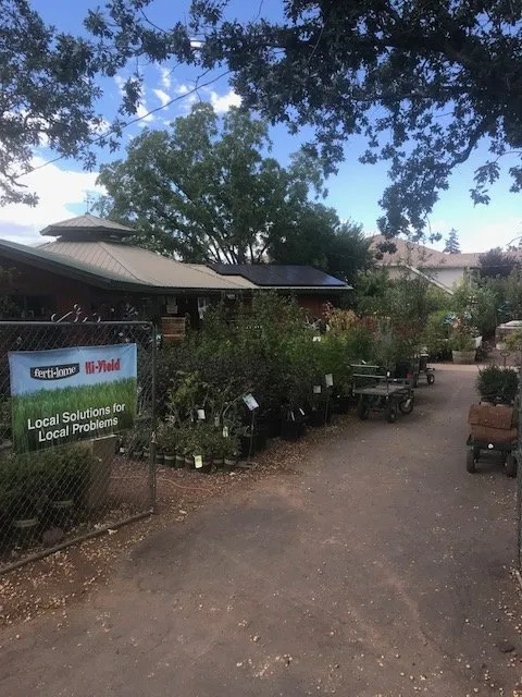 Trusted garden landscaping in Lakeside, AZ - Christopher's Gardens