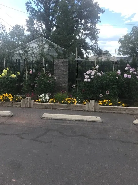 Professional outdoor landscaping in Lakeside, AZ by Christopher's Gardens