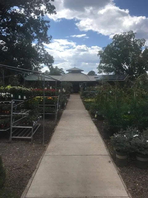 Trusted yard cleanup service experts serving Lakeside, AZ - Christopher's Gardens