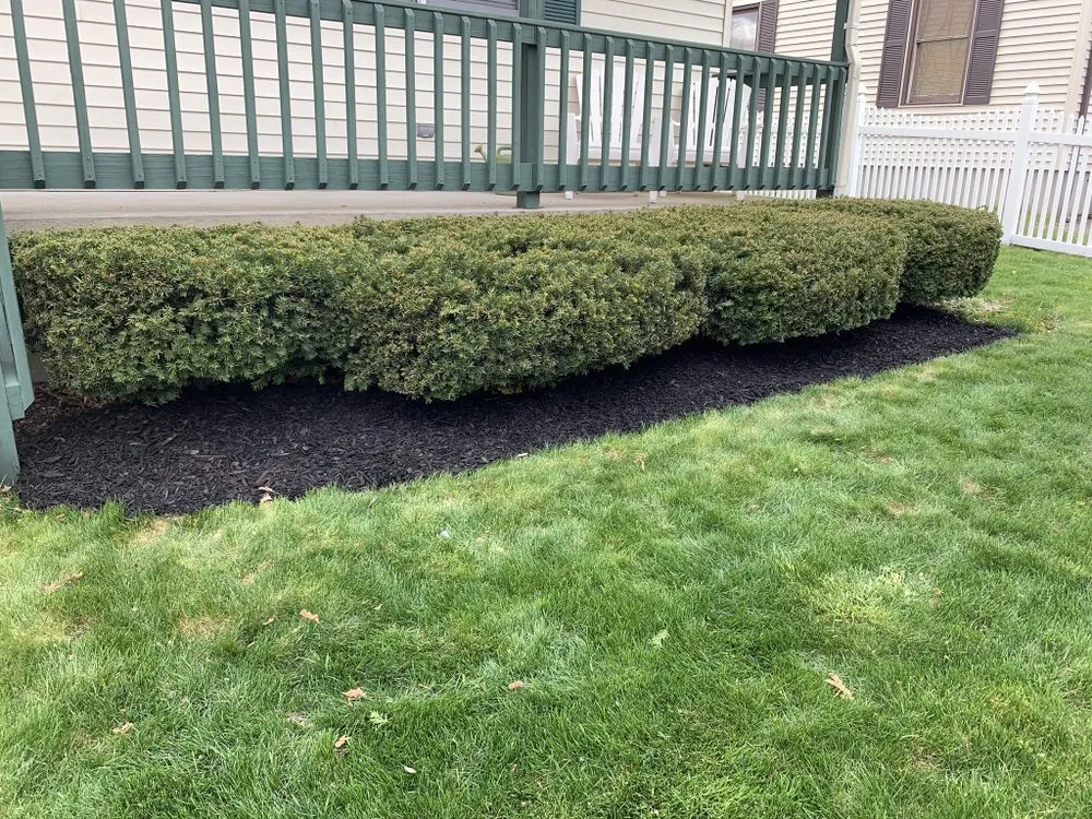 Top-rated residential landscaping for beautiful yards in Cranston, RI by Christopher's landscaping
