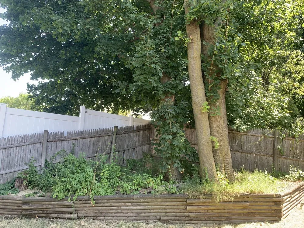 Top-rated landscape design for homes across Cranston, RI - Christopher's landscaping