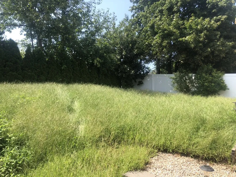 Custom yard cleanup service for year-round maintenance in Cranston, RI by Christopher's landscaping