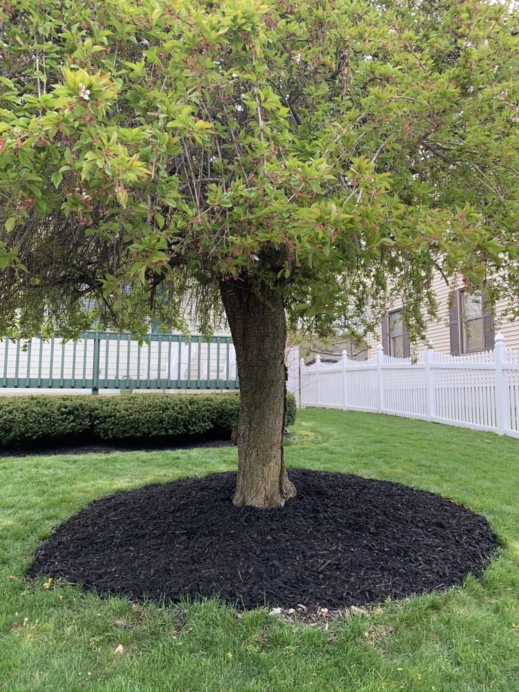 Affordable yard maintenance for residential properties in Cranston, RI by Christopher's landscaping