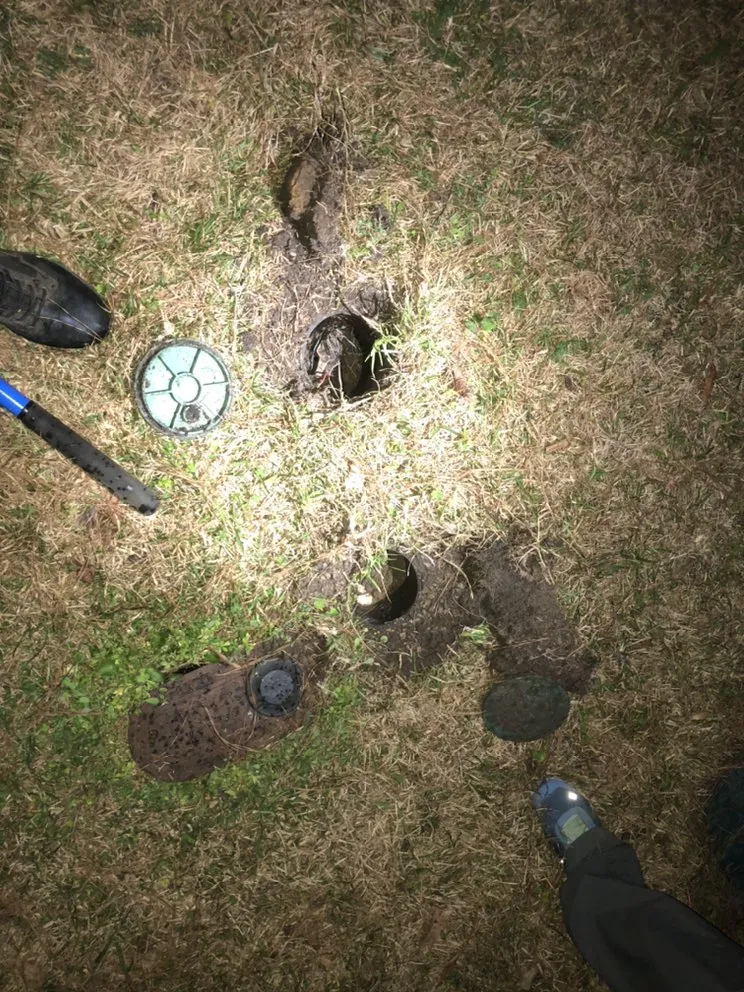 Affordable outdoor landscaping with custom design across Savannah, GA - Christopher's Palms And Irrigation