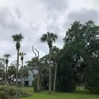 Reliable yard maintenance experts serving Savannah, GA - Christopher's Palms And Irrigation