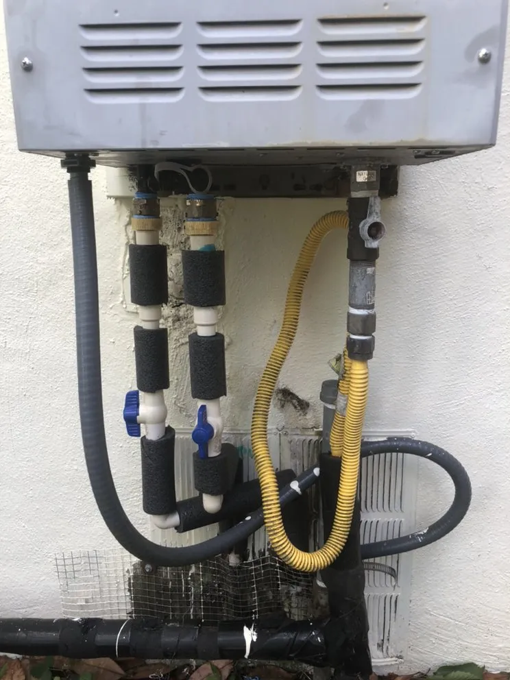 Trusted residential landscaping in Savannah, GA by Christopher's Palms And Irrigation