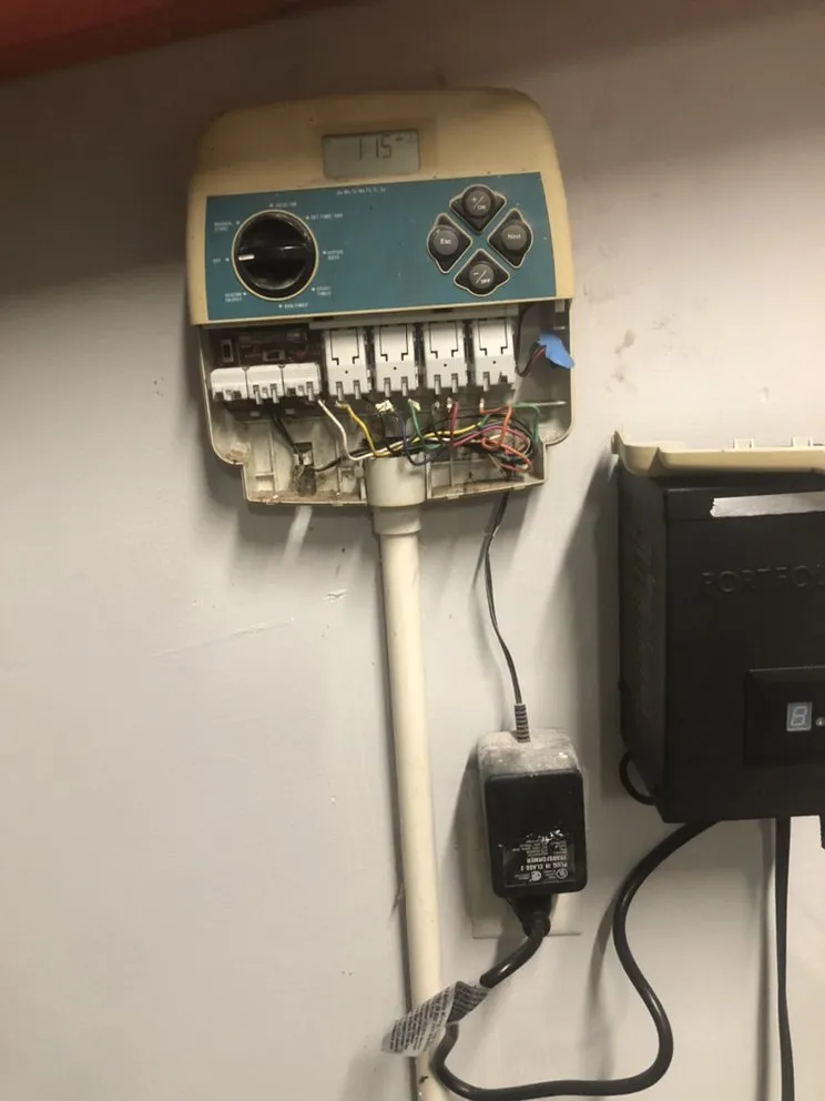 Expert landscape design in Savannah, GA by Christopher's Palms And Irrigation