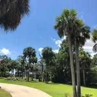 Trusted garden landscaping in Savannah, GA - Christopher's Palms And Irrigation