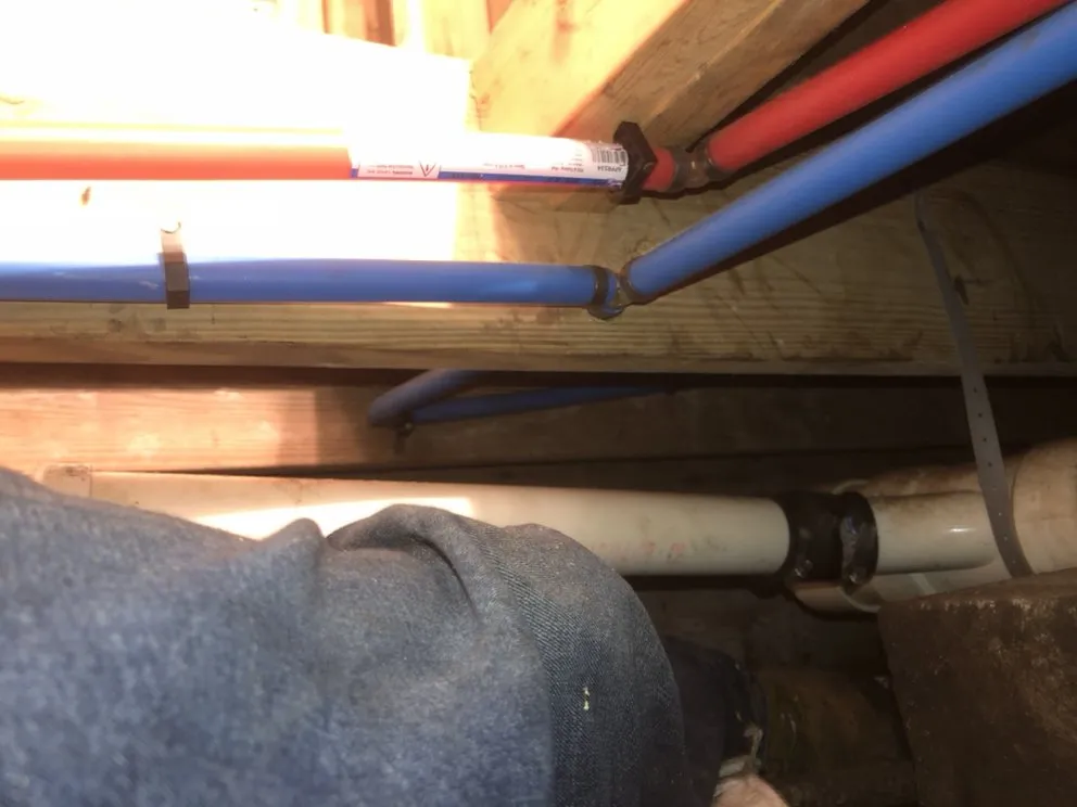 Expert outdoor landscaping in Savannah, GA by Christopher's Palms And Irrigation