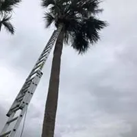 Affordable lawn mowing service near you across Savannah, GA - Christopher's Palms And Irrigation