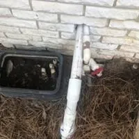 Trusted landscape installation in Savannah, GA by Christopher's Palms And Irrigation