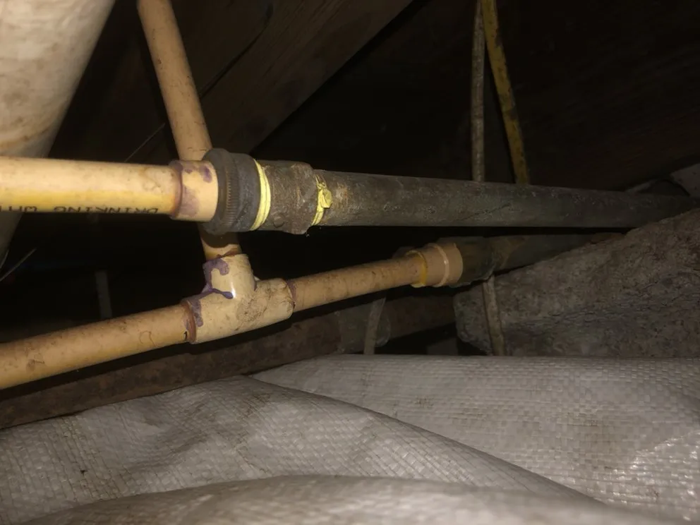 Trusted garden landscaping in Savannah, GA by Christopher's Palms And Irrigation