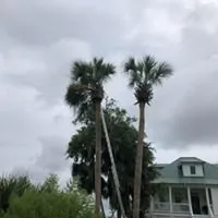 Reliable lawn mowing service experts serving Savannah, GA - Christopher's Palms And Irrigation