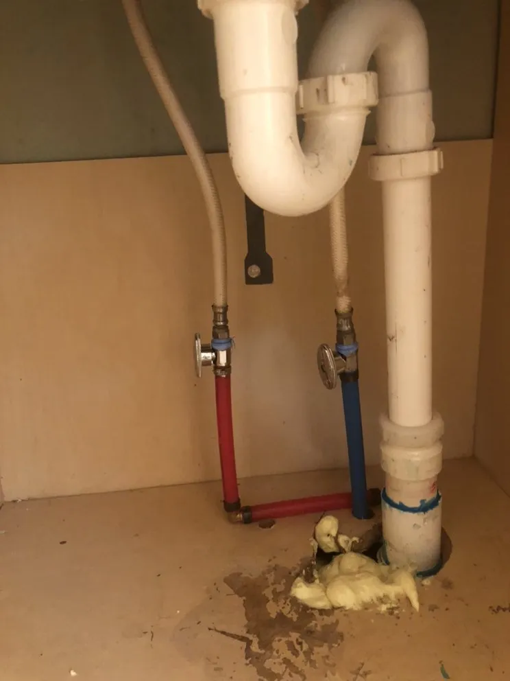 Expert landscaping services for residential properties in Savannah, GA by Christopher's Palms And Irrigation