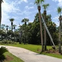 Reliable yard maintenance experts serving Savannah, GA - Christopher's Palms And Irrigation