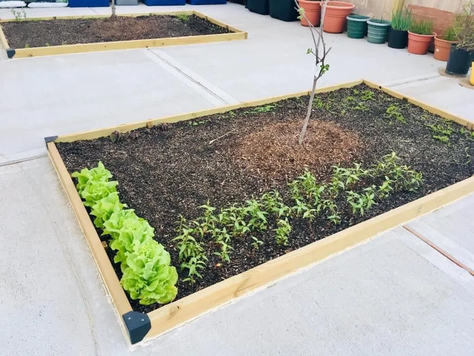 Top-rated landscape installation in Houston, TX by Christo's Courtesy Lawn and Landscape Services