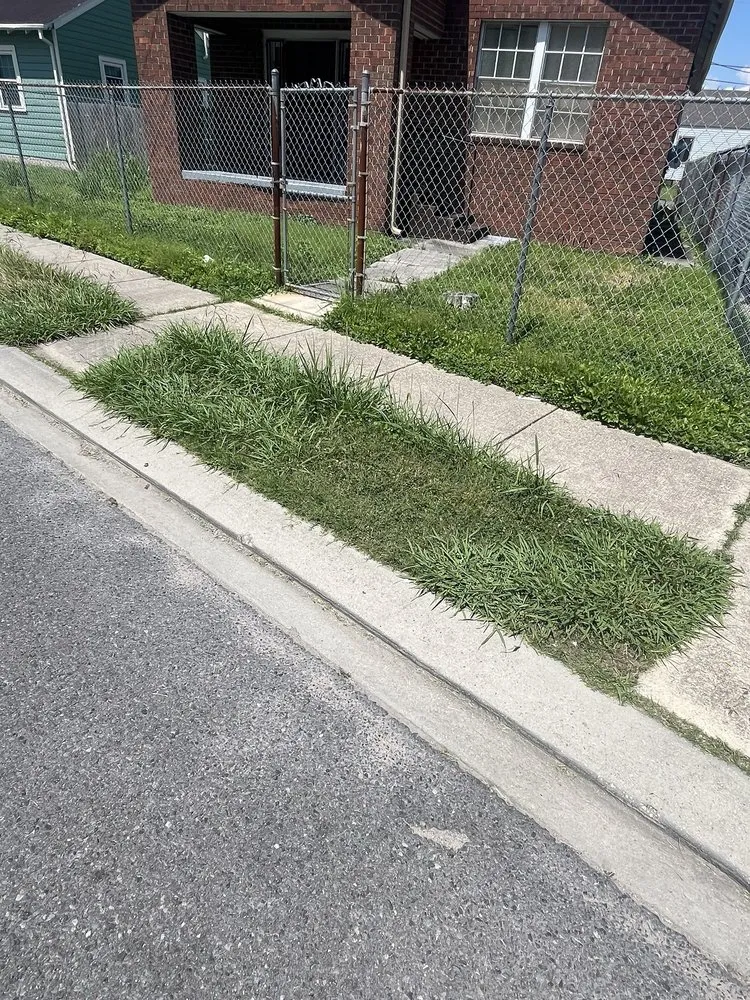 Affordable residential landscaping in River Ridge, LA by Christ’s creations lawn care services