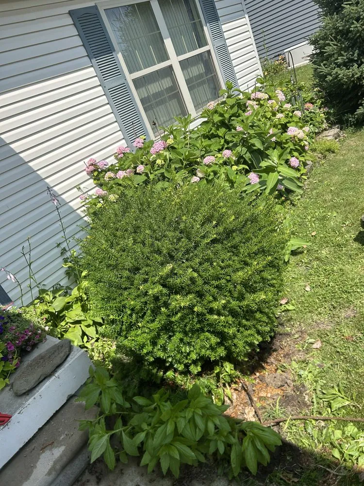 Professional lawn mowing service for beautiful yards across Smiths Creek, MI - Christy cuts & landscaping