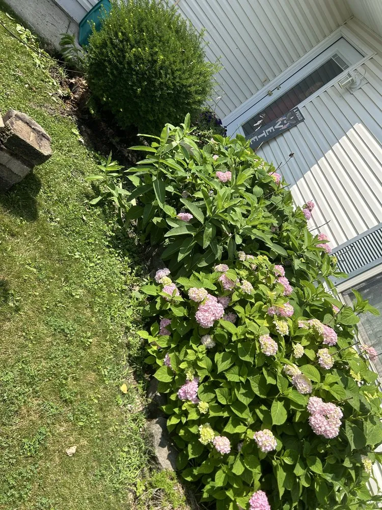 Expert landscape installation for beautiful yards across Smiths Creek, MI - Christy cuts & landscaping