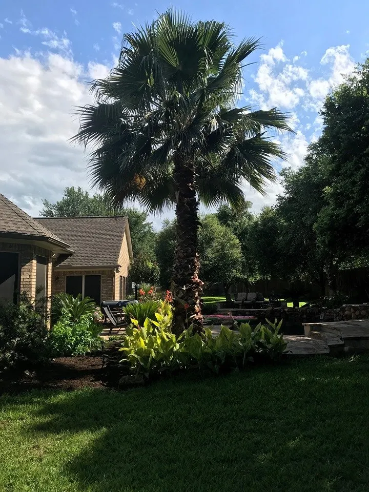 Custom residential landscaping in Belton, TX by Christy Lawn Care Services