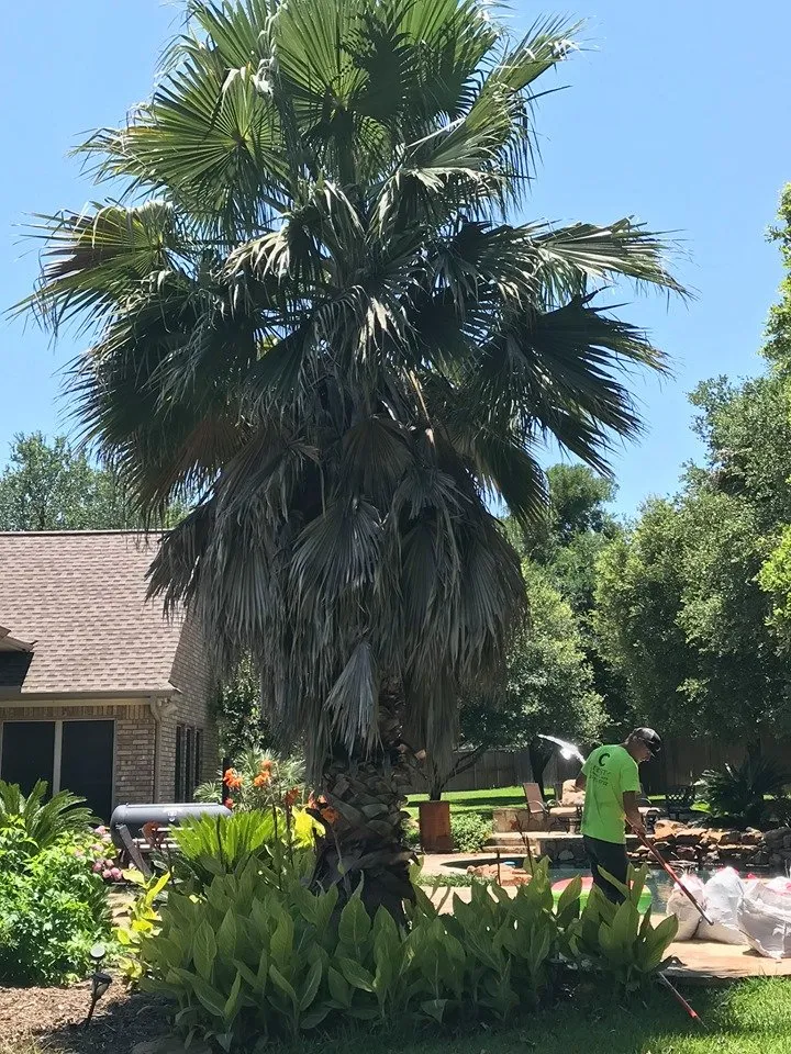 Reliable outdoor landscaping in Belton, TX by Christy Lawn Care Services