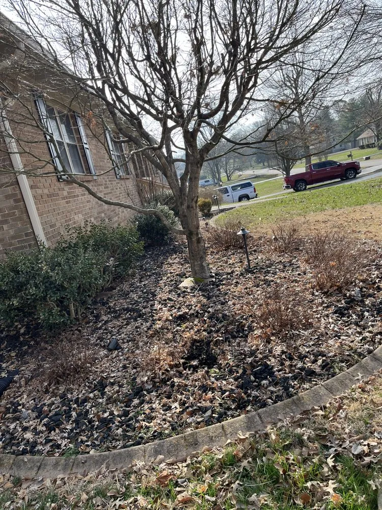 Top-rated lawn mowing service in Hohenwald, TN - Christy Performance Lawn Care