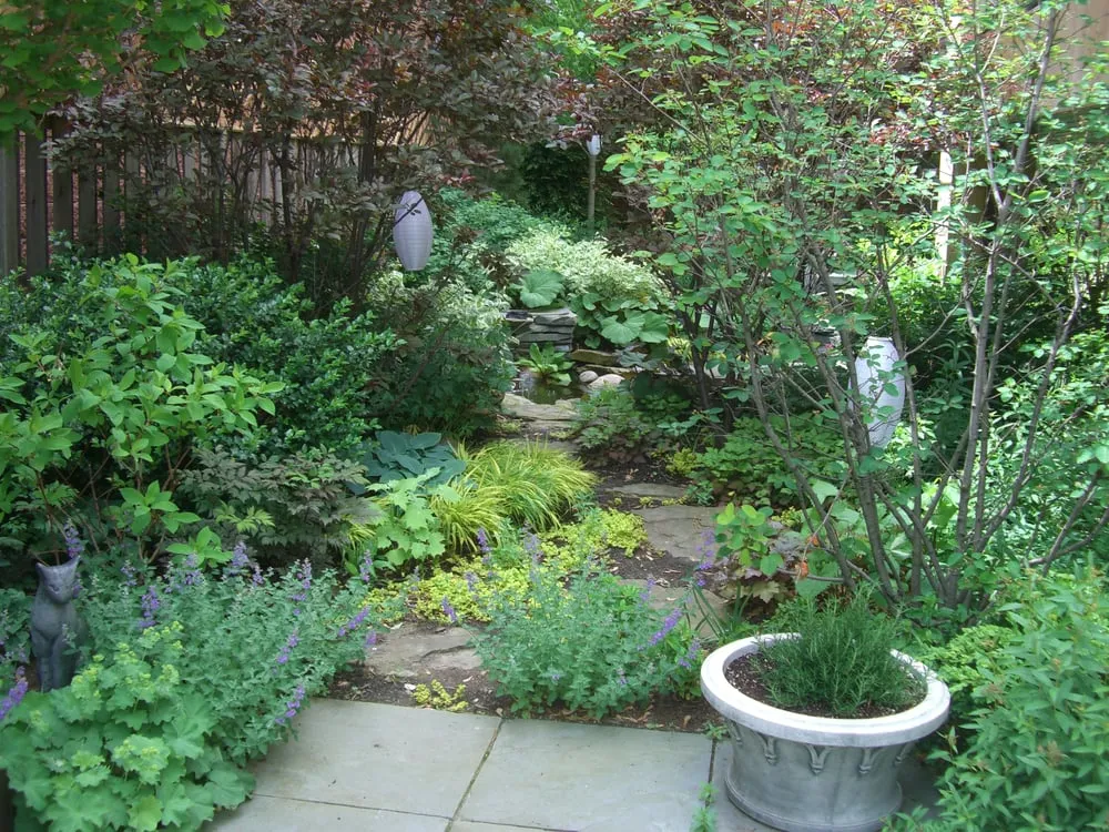 Expert yard cleanup service experts serving Chicago, IL - Christy Webber Landscapes
