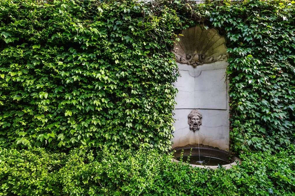 Expert yard cleanup service for year-round maintenance across Chicago, IL - Christy Webber Landscapes