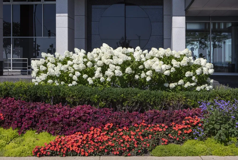 Professional lawn care service experts serving Chicago, IL - Christy Webber Landscapes