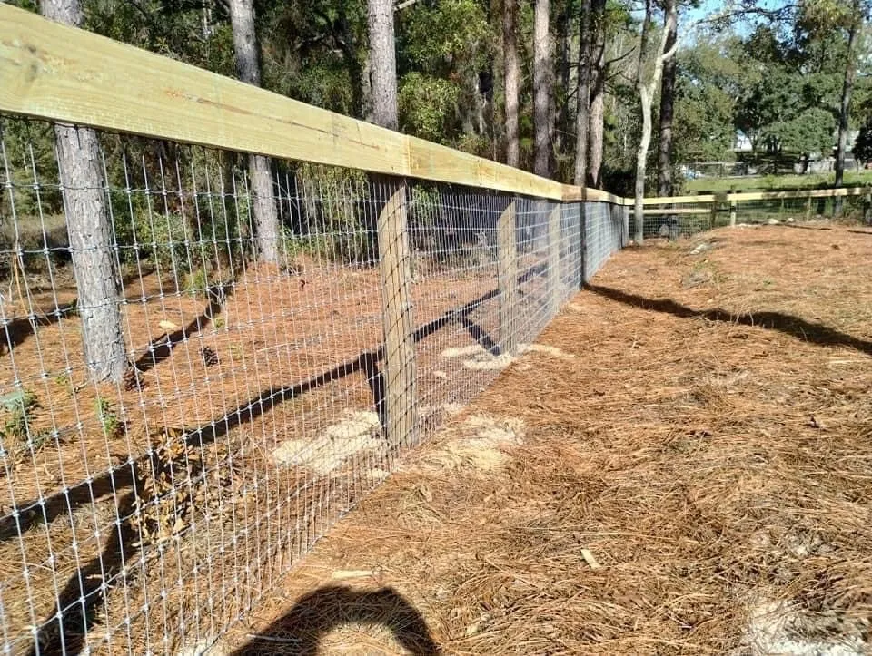 Affordable garden landscaping experts serving Micanopy, FL - Chrome Property Solutions