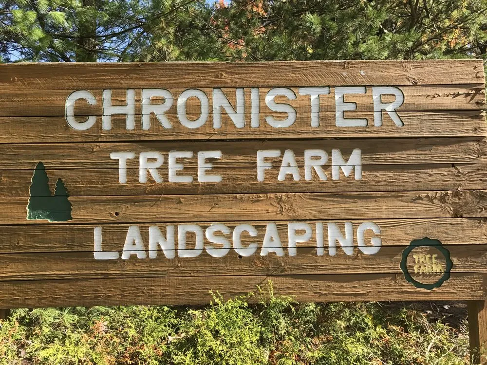 Local garden landscaping with custom design across Medina, OH - Chronister Tree Farm