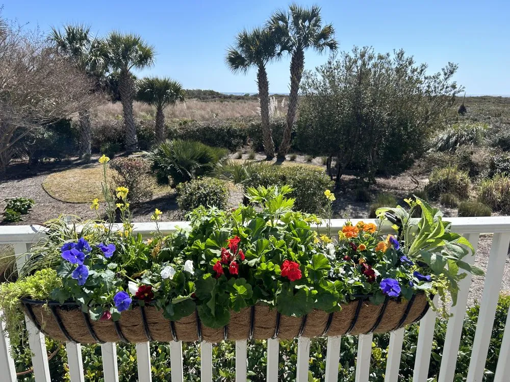 Professional landscape installation for outdoor upgrades in Charleston, SC by CHS Contracting