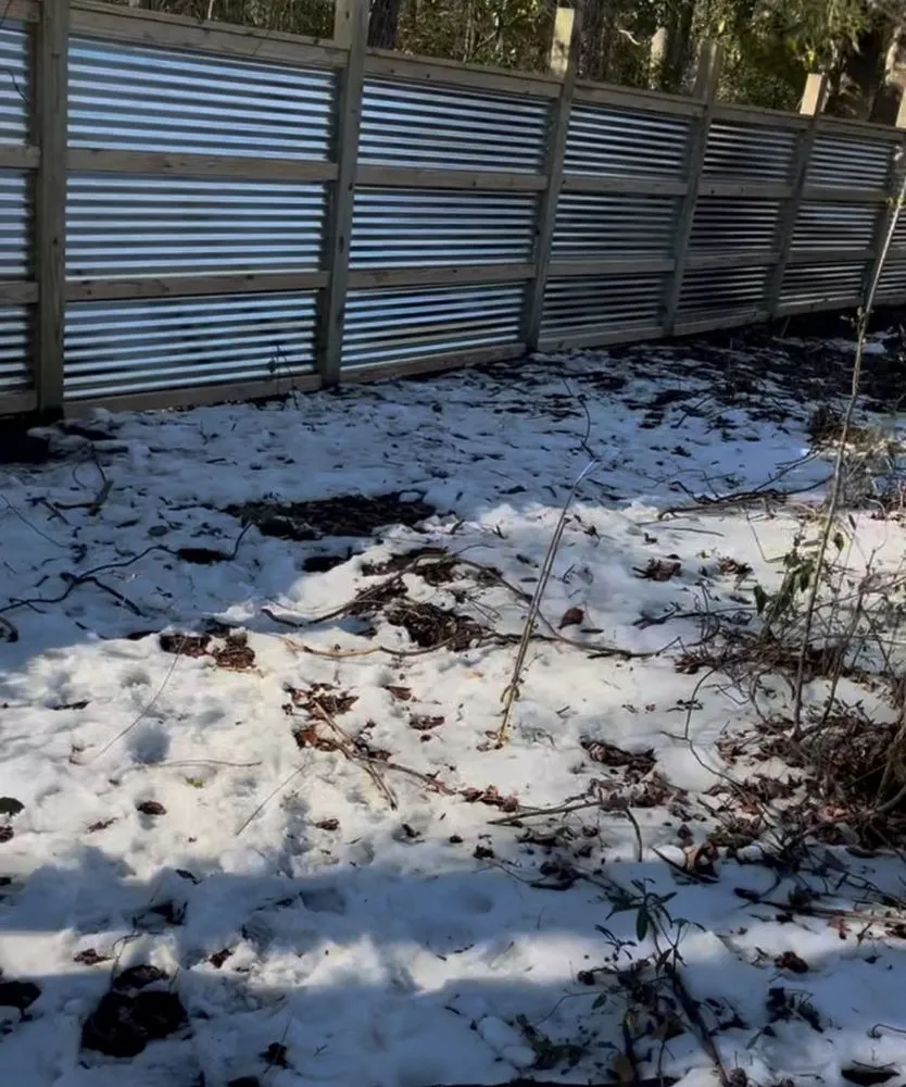 Trusted yard cleanup service for homes in Charleston, SC by CHS Contracting