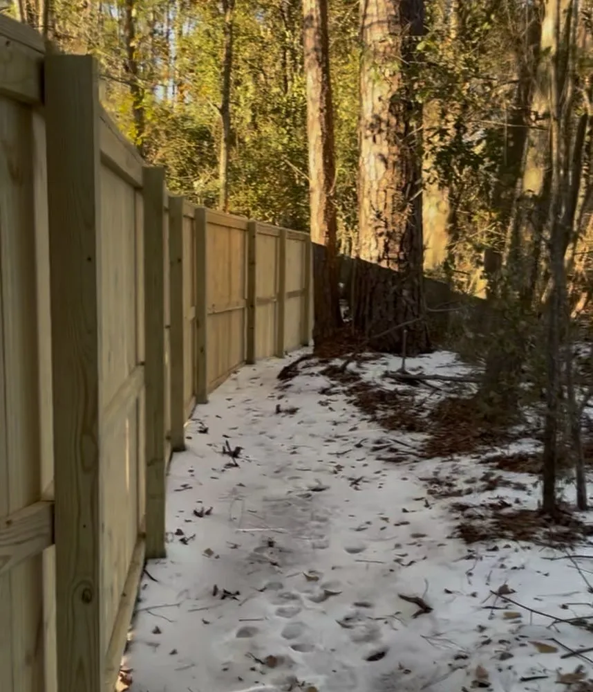 Professional lawn care service in Charleston, SC - CHS Contracting