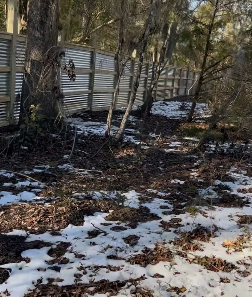 Expert lawn mowing service experts serving Charleston, SC - CHS Contracting