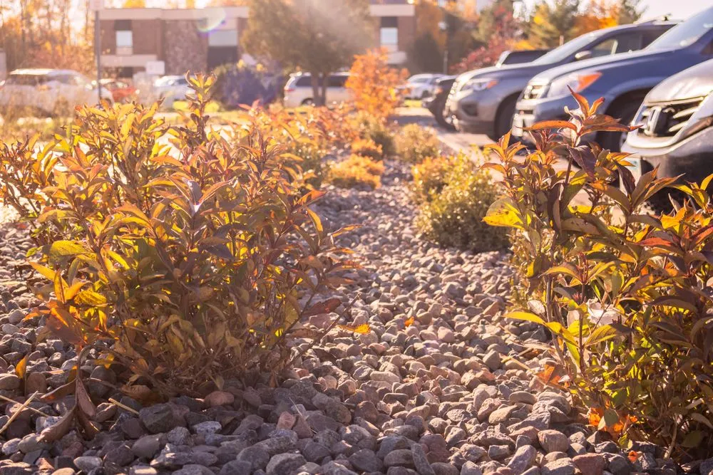 Top-rated lawn care service in Hermantown, MN - CHS Superior Landscaping