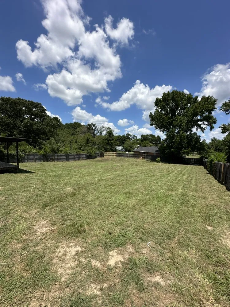 Top-rated residential landscaping experts serving Tyler, TX - Chubanii Landscaping