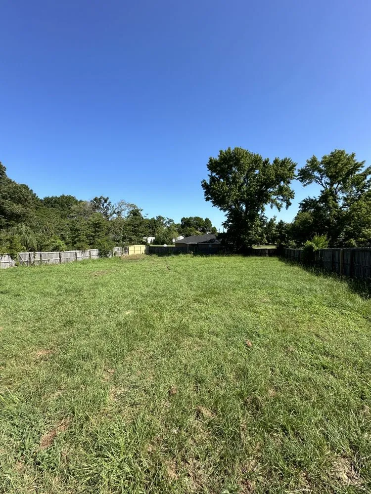 Affordable yard maintenance in Tyler, TX by Chubanii Landscaping