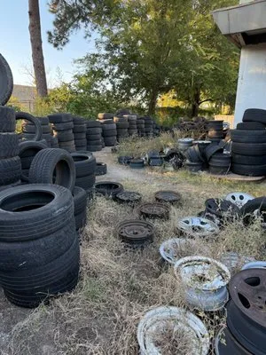 Chubanii Landscaping Logo