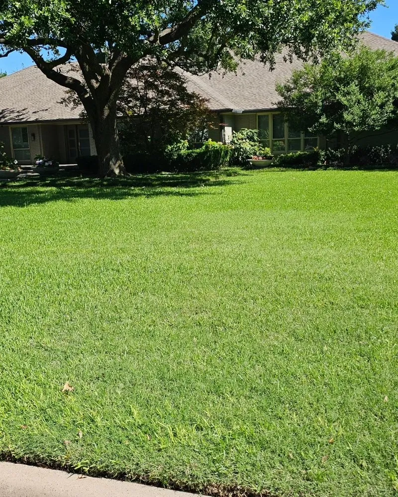 Professional residential landscaping in Frisco, TX - Chuck In The Truck Fertilization And Weedcontrol