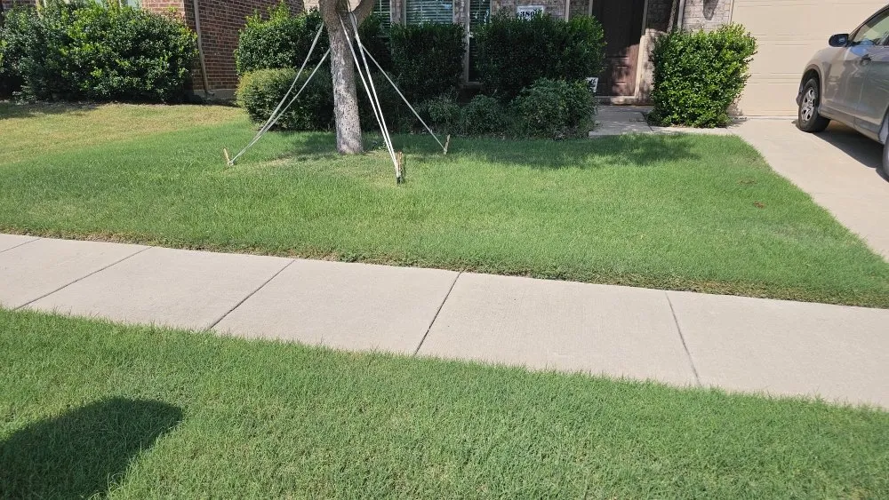 Local garden landscaping for year-round maintenance across Frisco, TX - Chuck In The Truck Fertilization And Weedcontrol